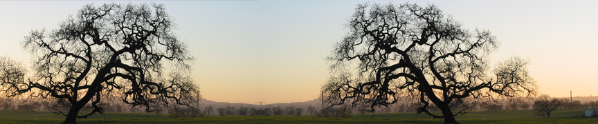 lndscape